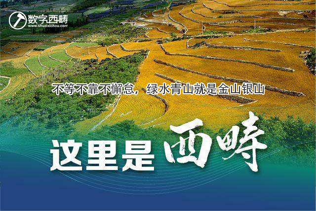 这里是西畴